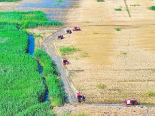 领跑密码丨大国粮安的山东重工答卷