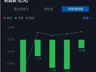 金种子酒2024年预亏超2亿元 或创上市以来最大亏损记录