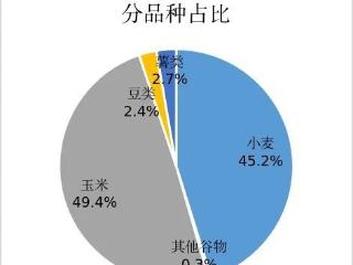 泰安市粮食生产实现“三增” 粮食总产量连续6年保持在250万吨以上