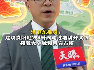 【提问代表委员】潘卫东委员：建议贵阳地铁3号线通过增设分叉线接驳大学城和青岩古镇