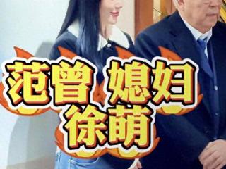 87岁范曾携37岁妻子参加展览，徐萌人美气质佳，贴心搀扶感情好