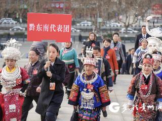 【两会·图看】贵州省第十四届人民代表大会第三次会议隆重开幕