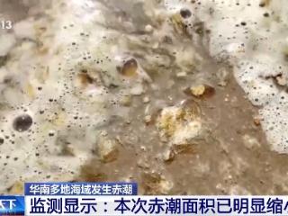 华南多地海域发生赤潮 专家提醒：不要去赤潮海域游玩、食用相关海产品