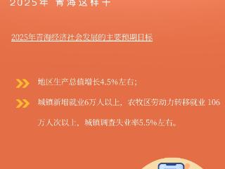 扩大有效需求、集聚资源要素……2025年青海这样干
