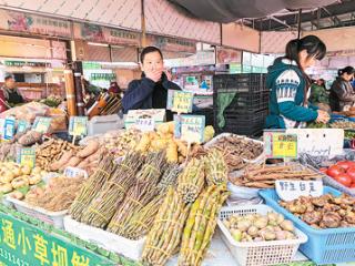 云南好山水 化育好药材（道地药材巡礼·云南篇）