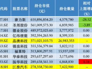 刘格菘代表作基金股票仓位升至历史第三高，晶澳科技、江淮汽车重返持仓前十