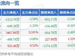 鹏欣资源（600490）1月20日主力资金净卖出1312.76万元