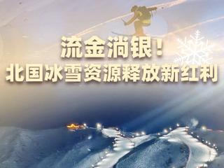 习近平总书记关切事｜流金淌银！北国冰雪资源释放新红利——冰雪经济高质量发展新实践之一