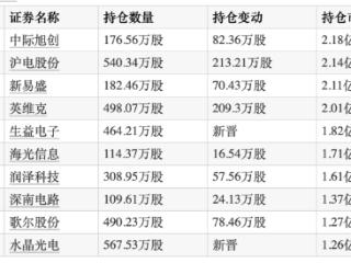 2024年公募“冠军基”四季度重仓AI算力及应用端，新进生益电子、水晶光电