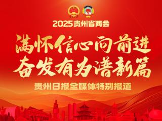 2025贵州两会十问十答 | 就医篇④