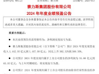 问界M9爆卖让赛力斯赢麻了 2024年扭亏为盈净利润超55亿元