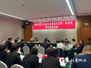 【两会·议报告】毕节代表团热议报告谋发展 共商良策话未来