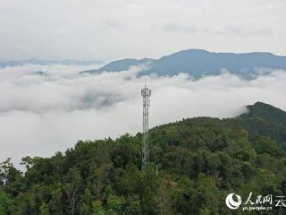 新春走基层｜12000余名群众新年收获"满格幸福"