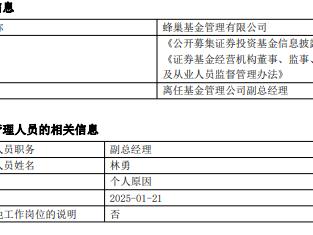 林勇离任蜂巢基金副总经理