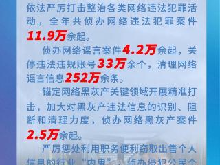 严惩有组织造谣炒作！去年公安机关侦办网络谣言案4.2万余起