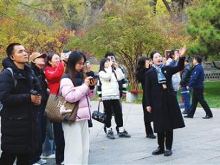 新春走基层｜文博讲解员让更多游客感受千年风华