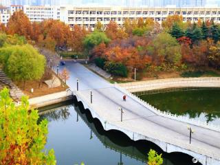 寻找山东最美大学|聊城大学吕佳欣《晨·秋》