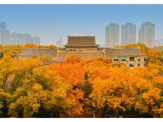 寻找山东最美大学|山东师范大学刘伟健《师大之秋》