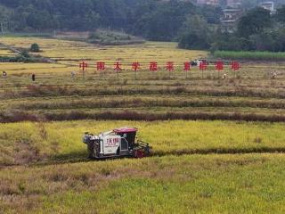 湖南江华：集体经济“有效益”连续六年“发红包”