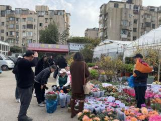 新春走基层 | 蝴蝶兰销量翻3倍，年宵花开启新春致富路