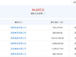2.71亿元！国美电器三日新增16条被执行人信息，昔日家电零售巨头资产负债率超148%，仍在自救