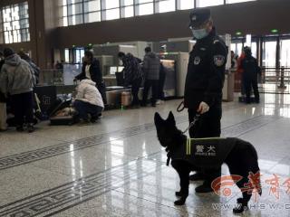 新春走基层|又飒又酷“汪汪队”与铁路卫士们守护春运路