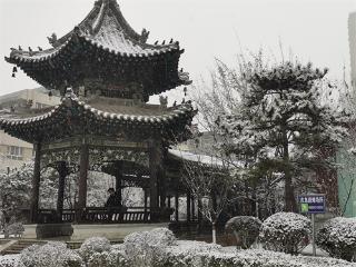 瑞雪飘飞 银装素裹 太原景致美如画