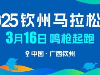 【官方认证】2025钦州马拉松赛认证为全国路跑B类赛事！