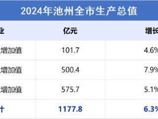 2024池州经济“成绩单”公布：1177.8亿元！增长6.3%