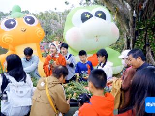 冬游海南 | 海口秀英区推出三大主题旅游线路 邀您山海相约