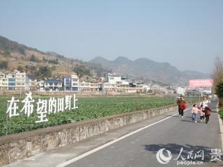 新春走基层｜老田换了新种法