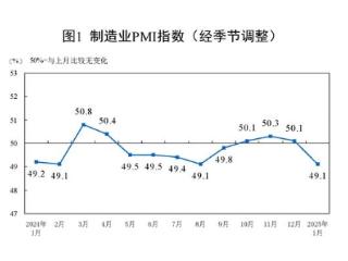 国家统计局：1月份制造业采购经理指数(PMI)为49.1%