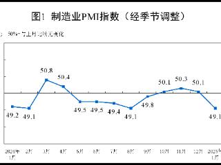 1月份制造业PMI为49.1%，比上月下降1个百分点