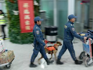 圆满完成任务！重庆市蓝天救援队赴西藏抗震救灾平安归来