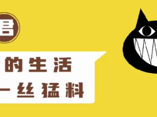 《漂白》编剧被曝多次抄袭他人作品