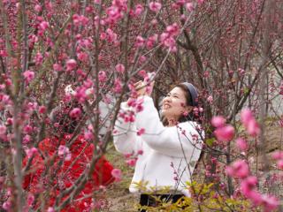 花香伴新春