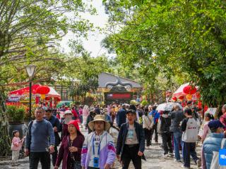 组图丨大年初一登高祈福 海口火山口公园人气旺