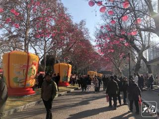 城市记忆馆、非遗项目展演……春节假期合肥端出“文旅大餐”