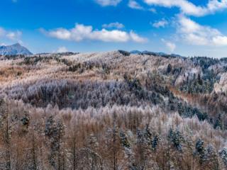 瑞雪迎春！邀您共赏大美南川