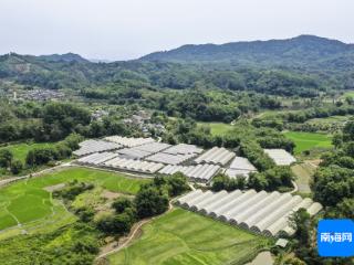 相约大年初五！徒步登高“上春山”，探寻琼中什寒的雨林文化