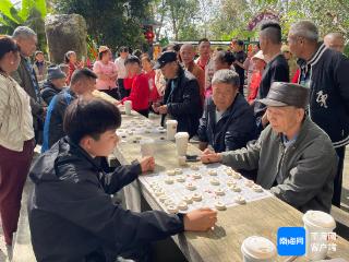 新春走基层 | 定安龙门镇大山村举行“南溟奇甸杯”春节象棋比赛