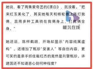 电视剧《漂白》被呼吁下架 受害人发声：把宋红玉美化了