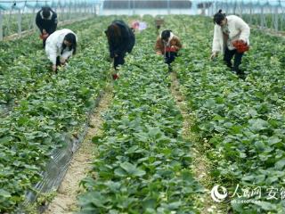 新春走基层丨“新战场”上立新功