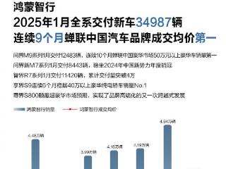 搜狐汽车全球快讯｜鸿蒙智行1月全系交付34987辆 “四界”2025年挑战100万辆