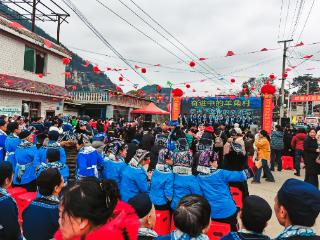 新春走基层｜永乐乡羊角村：灵蛇舞动迎春乐 罗树欢歌庆岁新