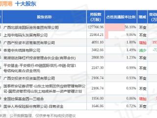 2月4日北部湾港发布公告，股东增持43.76万股