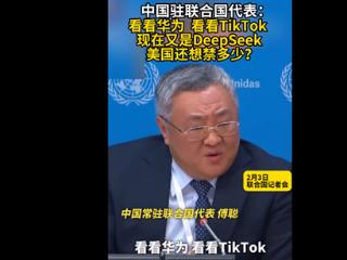 美国称下载最高判20年！中国代表霸气回应DeepSeek引发轰动