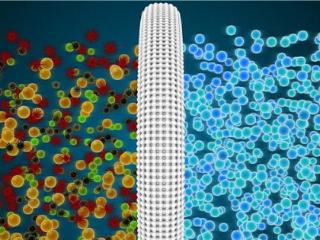 2025-29年气体净化用双疏膜行业市场深度调研及投资前景分析报告