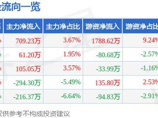 光力科技（300480）2月5日主力资金净买入709.23万元