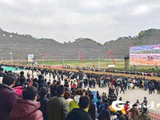 三都：春节“贵州村马”速度赛马公开赛总决赛激情开跑